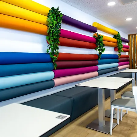 Paradise Park Fun Lifestyle