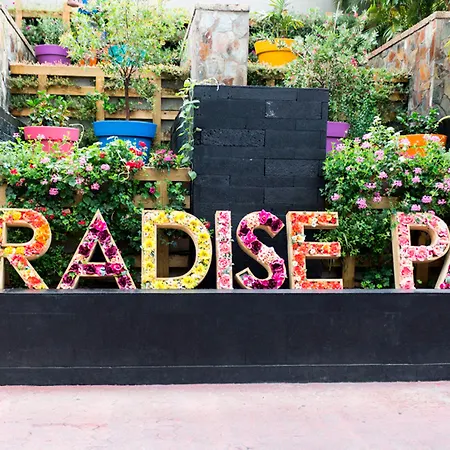 Paradise Park Fun Lifestyle Los Cristianos (Tenerife)